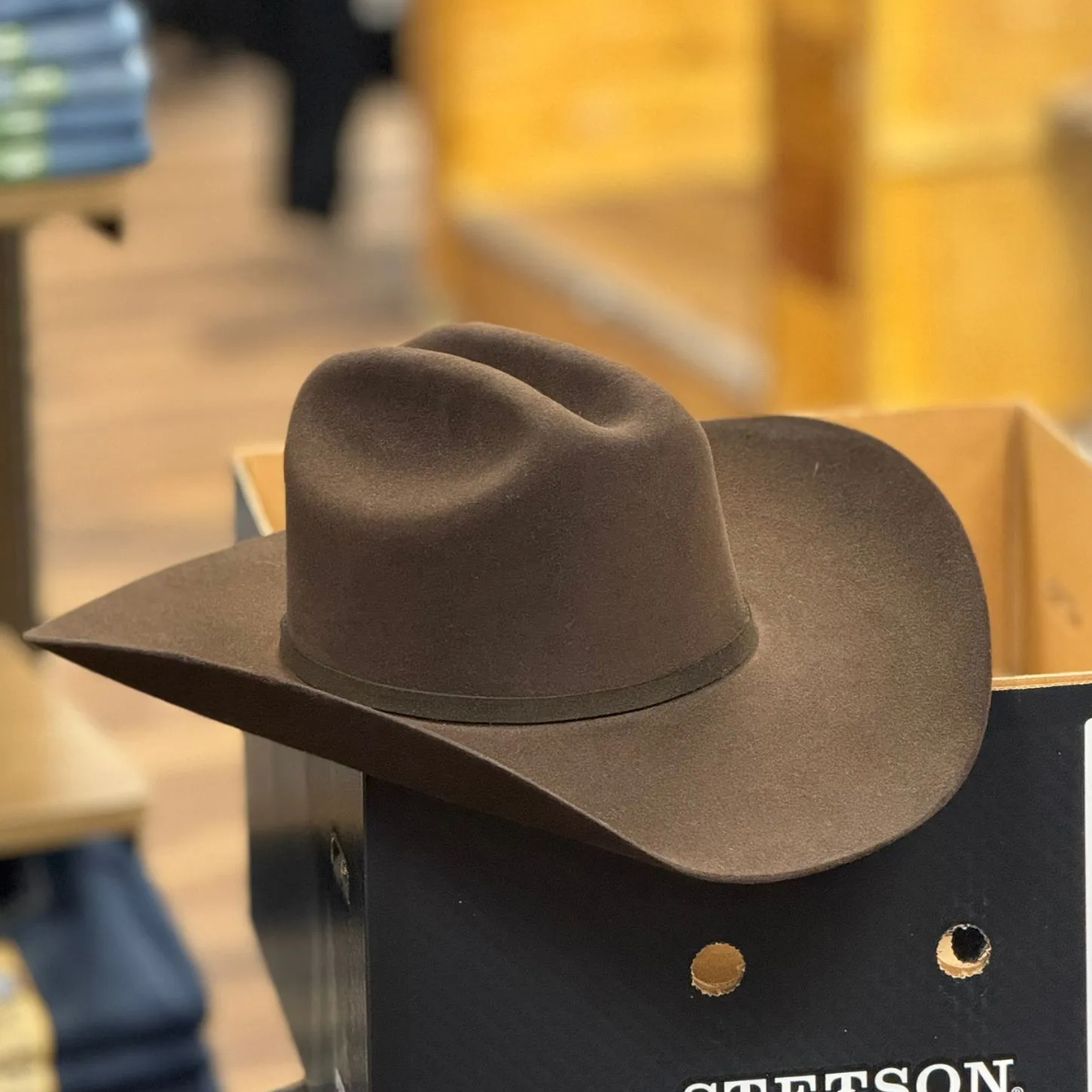 10x Shasta Chocolate