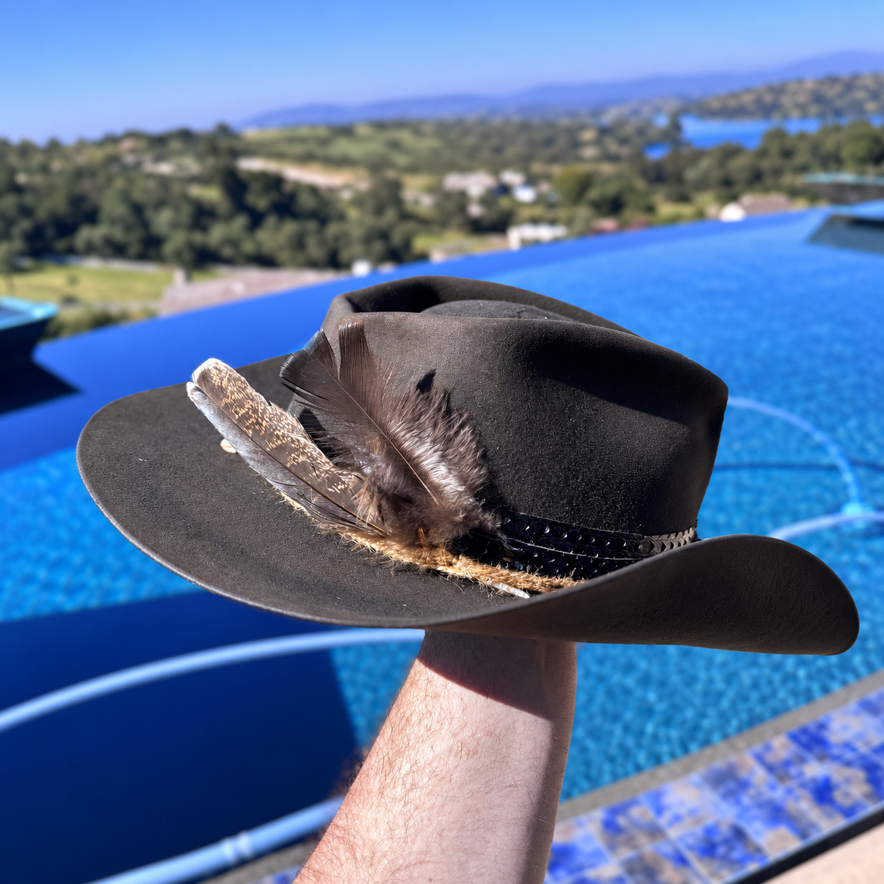 Vespermark western hat feather and band detail