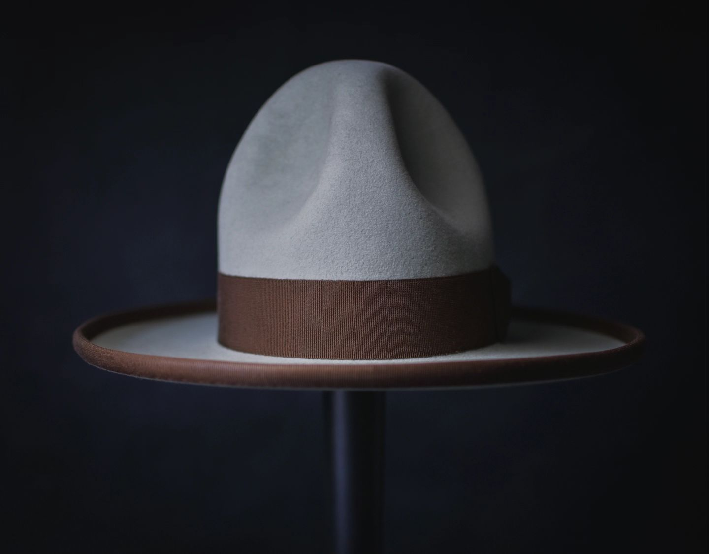 The Willow Campaign Hat