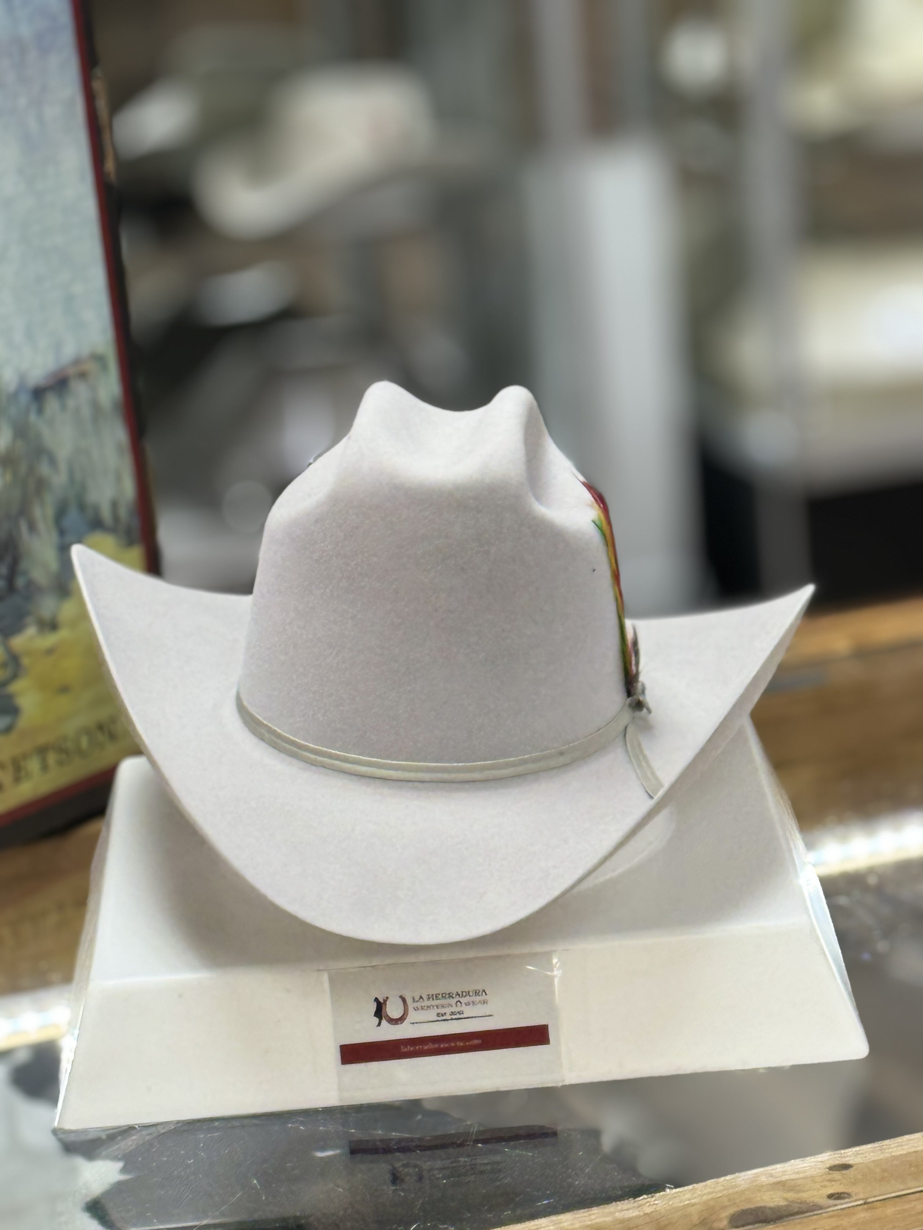 10x Rancher Copa Alta Silver Grey
