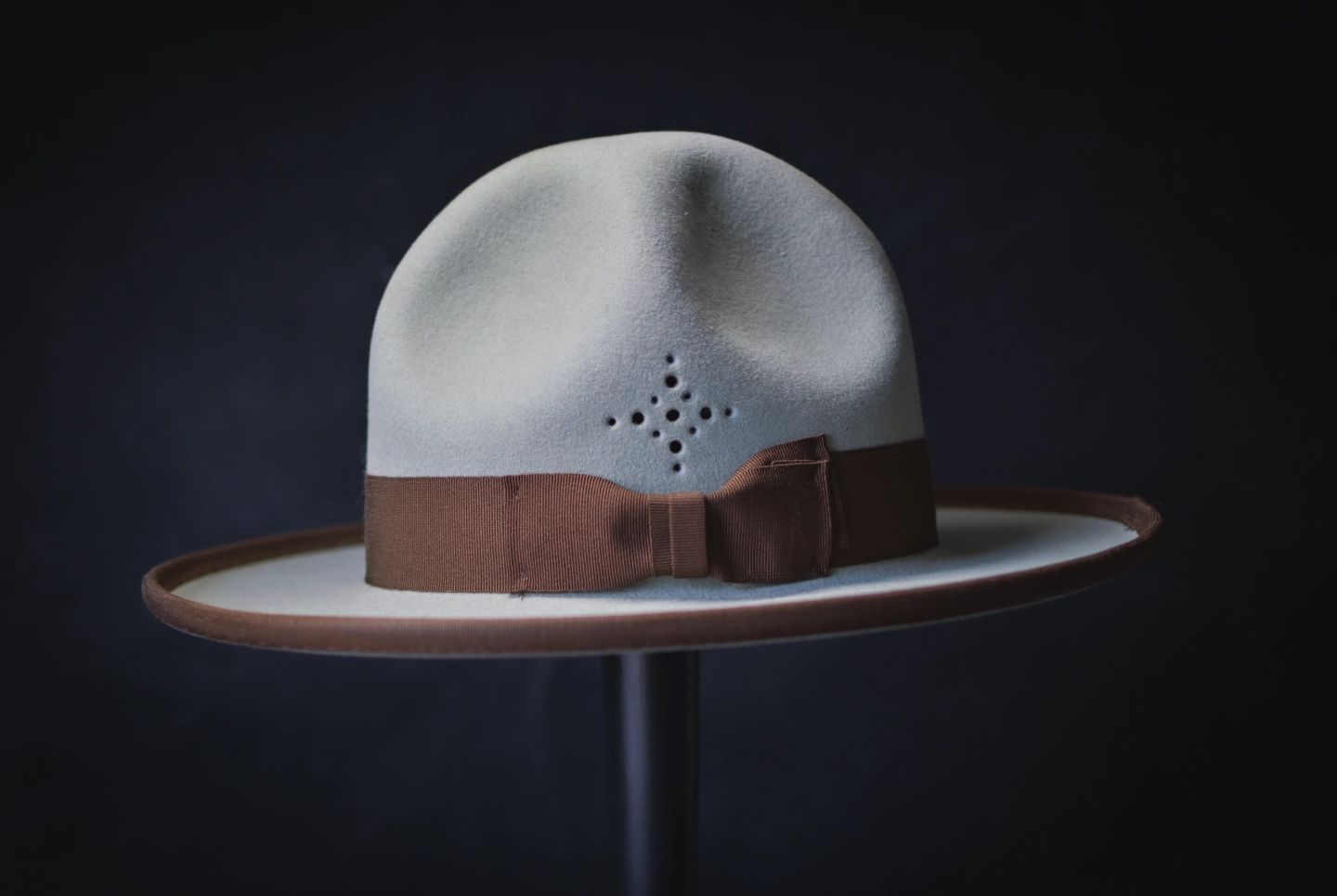 The Willow Campaign Hat