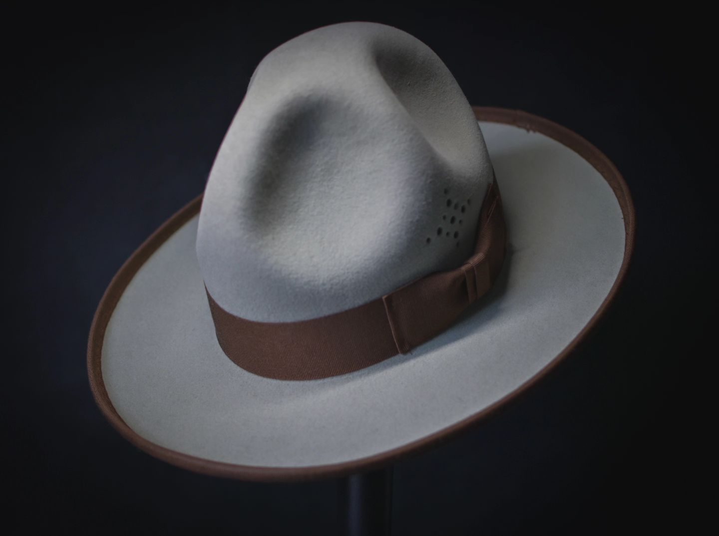 The Willow Campaign Hat