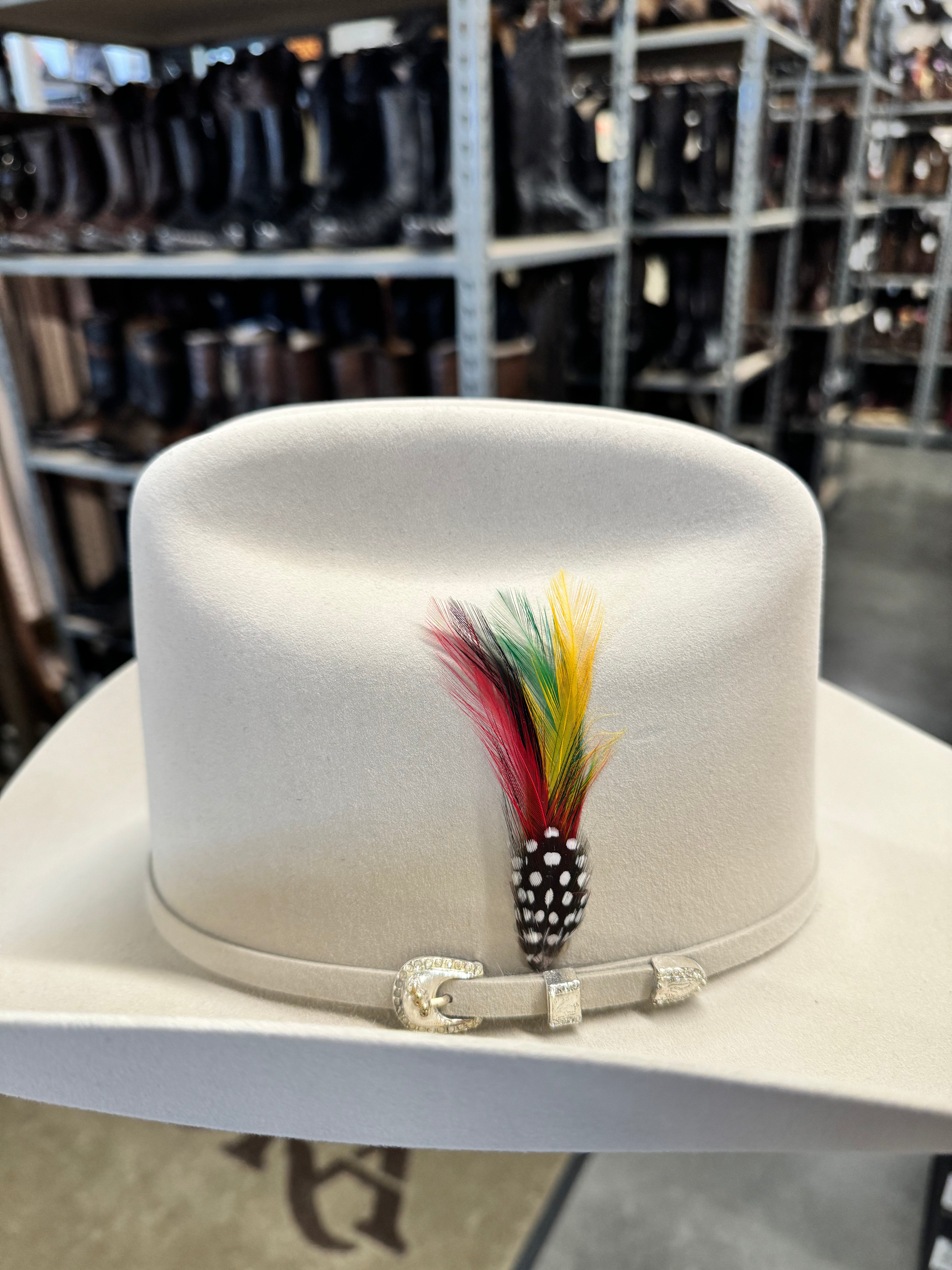 S.T 10x Shasta Silverbelly (Copa Alta Falda 4")