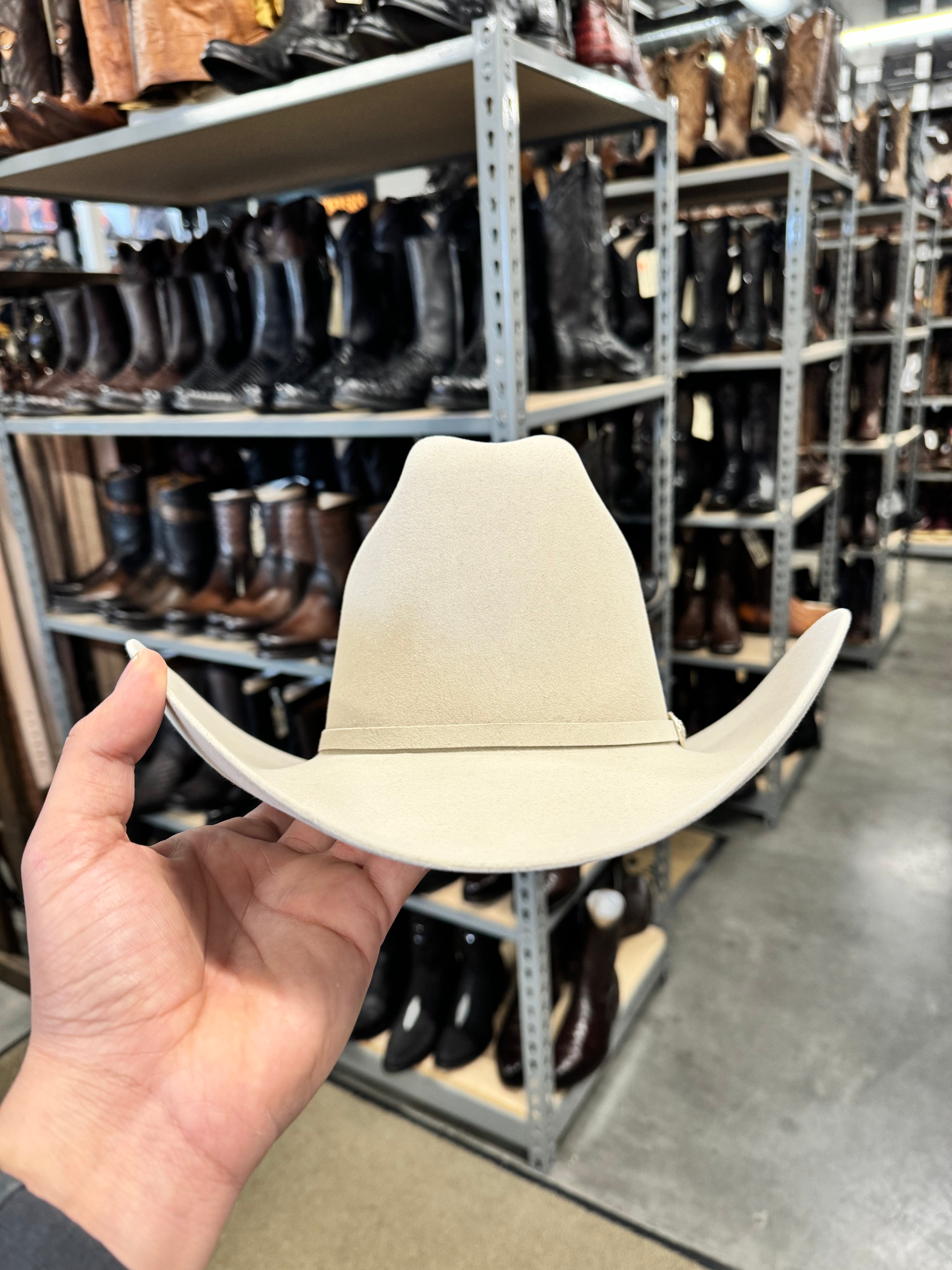 S.T 10x Shasta Silverbelly (Copa Alta Falda 4")