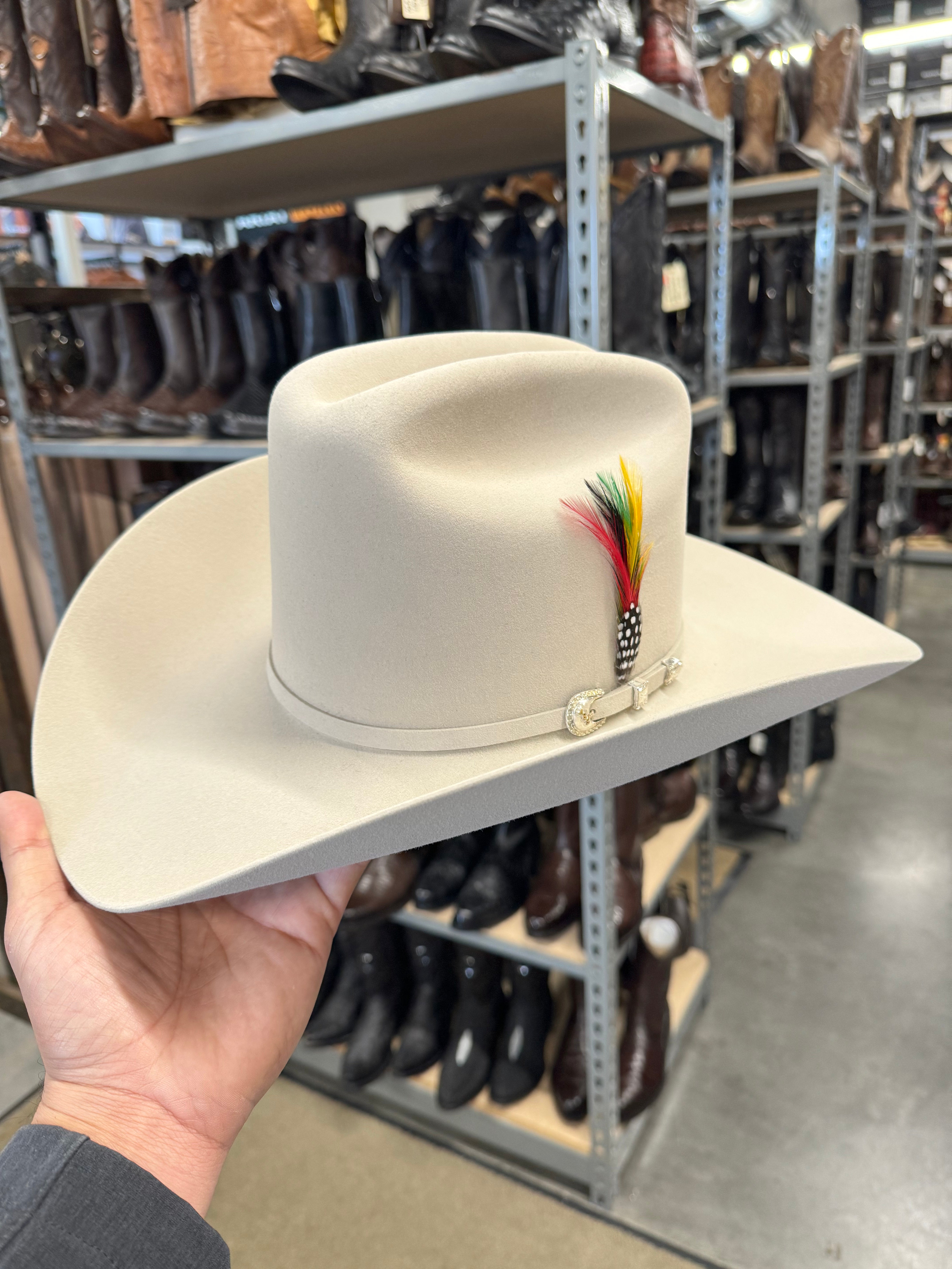 S.T 10x Shasta Silverbelly (Copa Alta Falda 4")