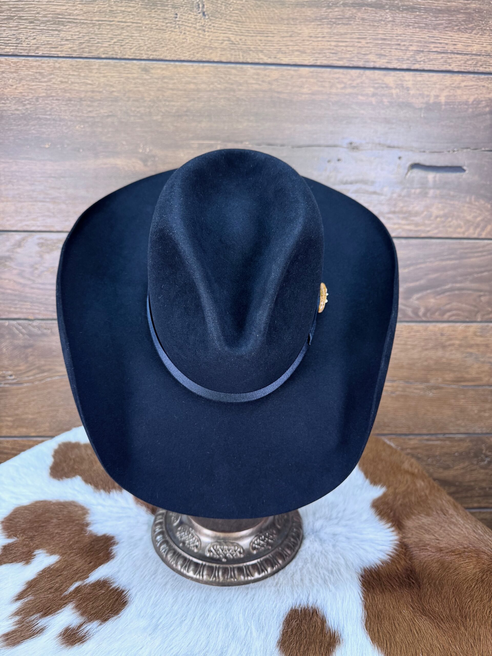 A Jackson in Black Chinchilla blend 