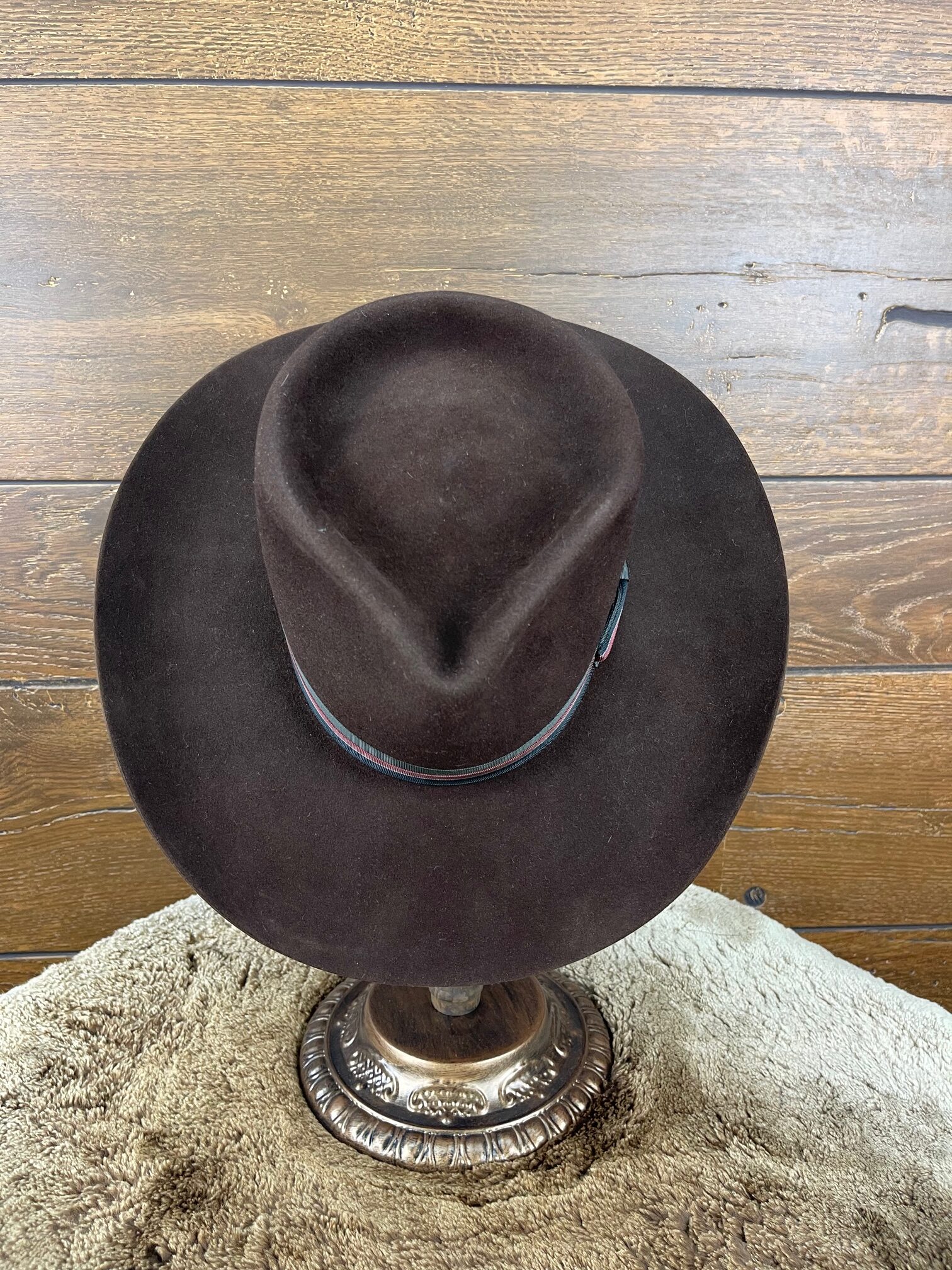 Chocolate Brown  Drover