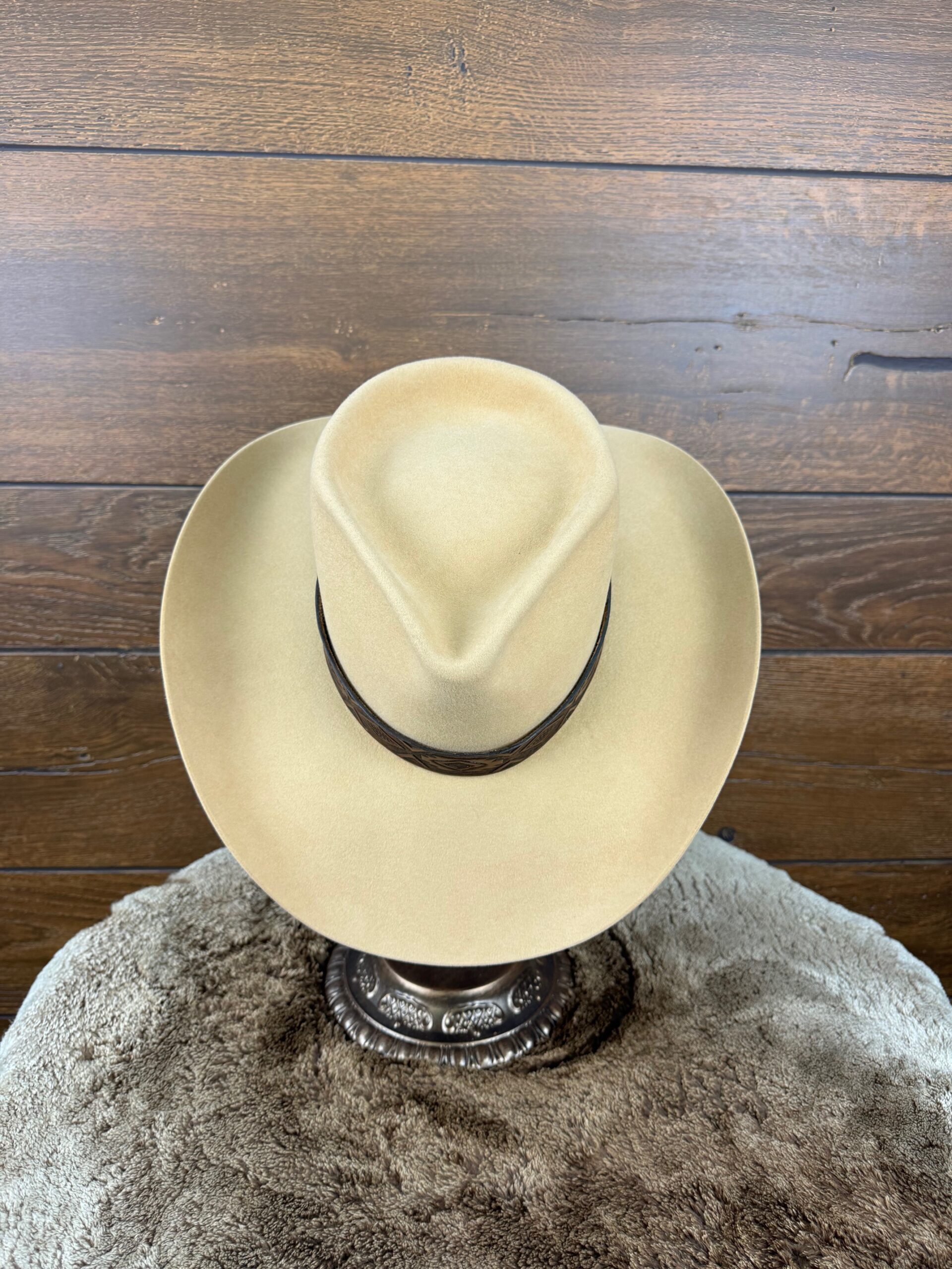 Camel  Drover