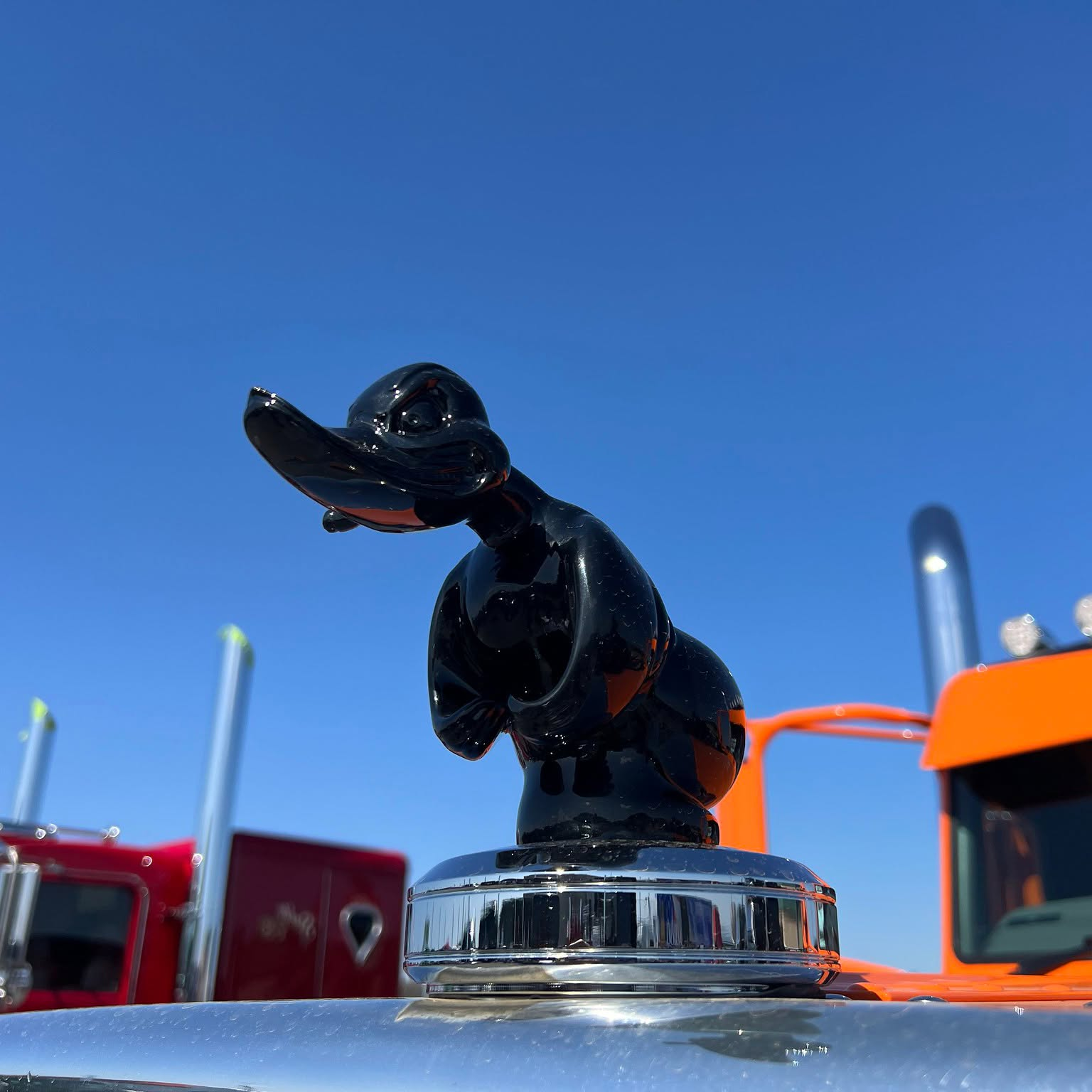 Black duck hood ornament on a truck