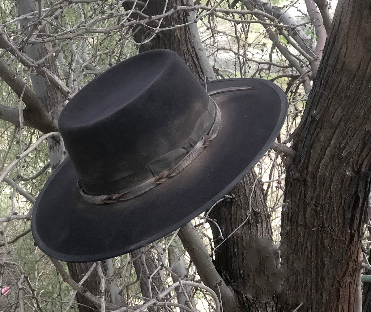 The Bohannan