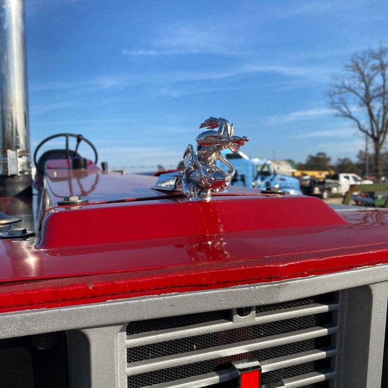 Original Coyote Hood Ornament