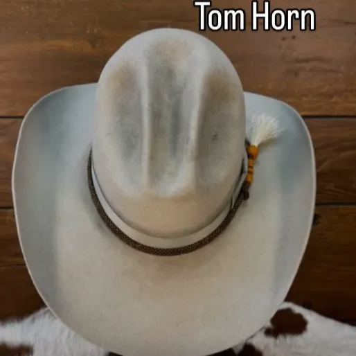 L.N Tom Horn