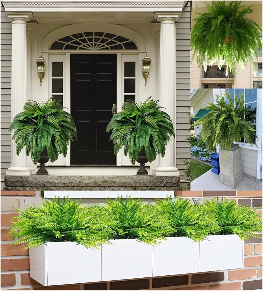 Resistant Fern Grass