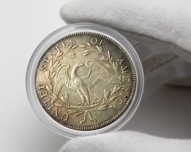 Liberty Flowing Hair & Draped Bust Silver
