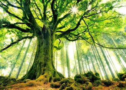 1000-piece puzzle - spring