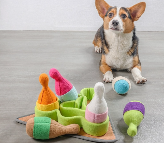 Pet toys