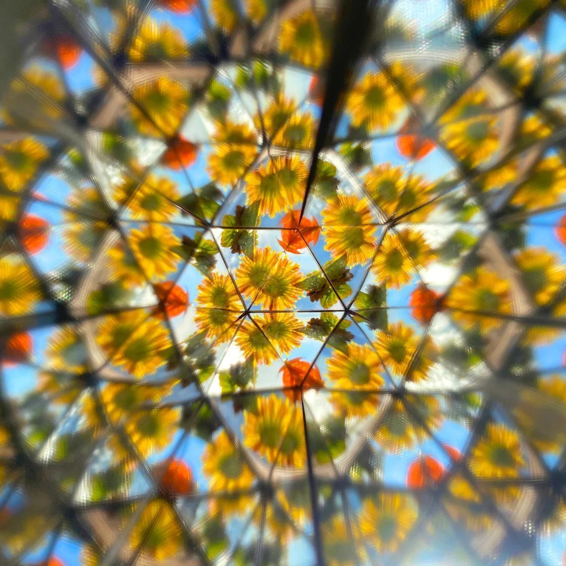 🔥The Best Gift🔥 Natural Wood DIY kaleidoscope