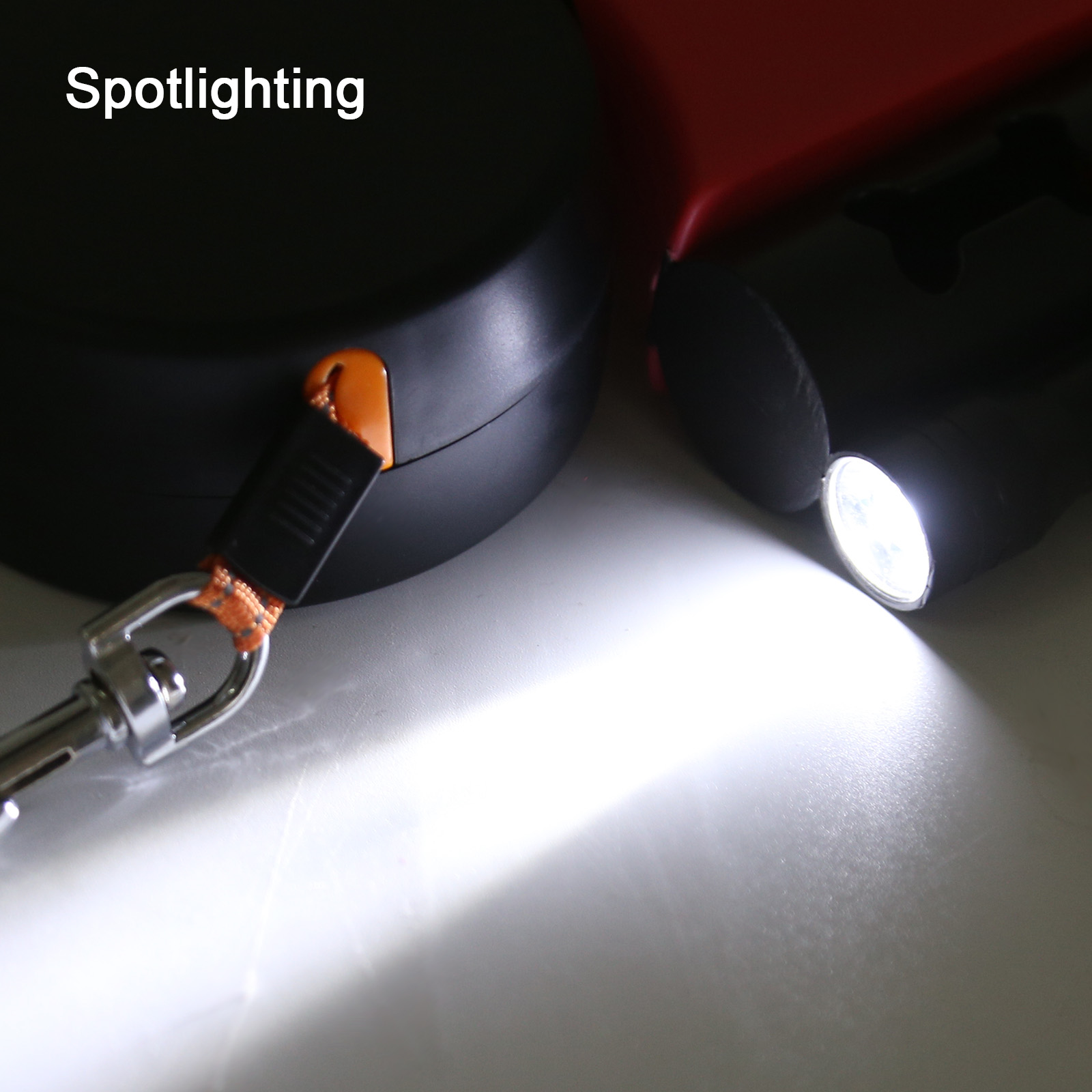 Dual Lighted Retractable Leash