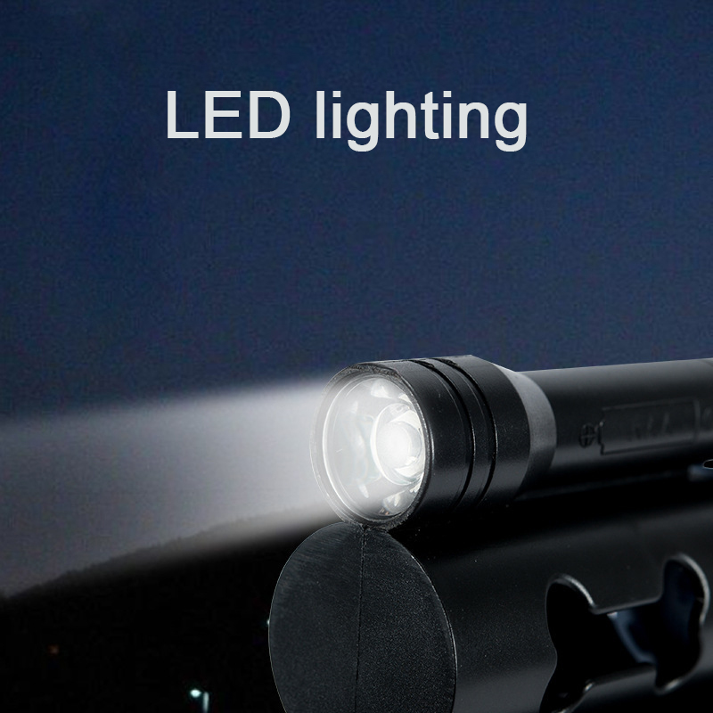 Dual Lighted Retractable Leash