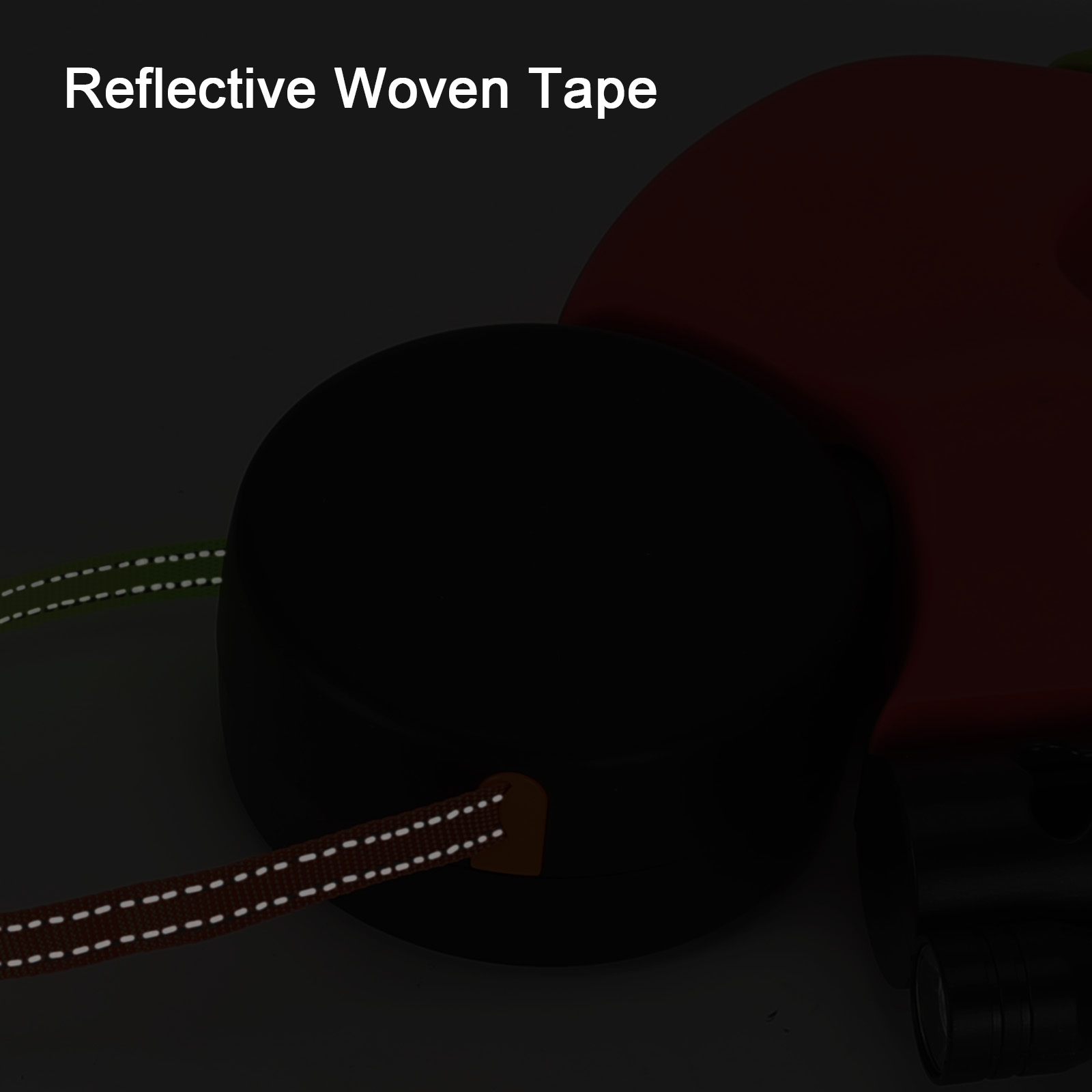 Dual Lighted Retractable Leash