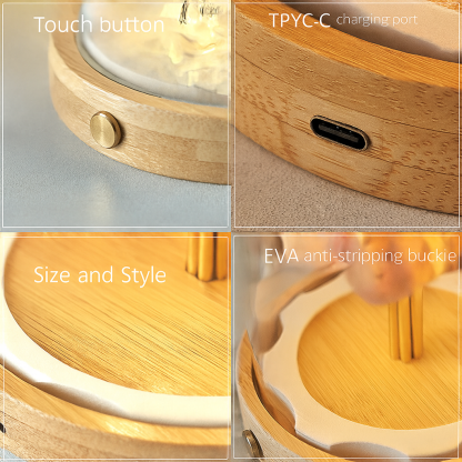 Upgraded Glass Dome Night Light - Side Touch Control with Warm Light - Rechargeable Battery + FREE Charging Cable Included-SELL MALL