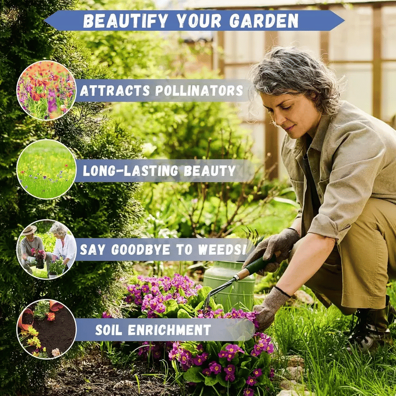 🏆 75K+ SOLD! ❄️🌱Trailing Jasmine Seeds – Winter Planting, Perennial Blooms & Fragrant Garden Elegance 🌸(Buy One Get One Free)