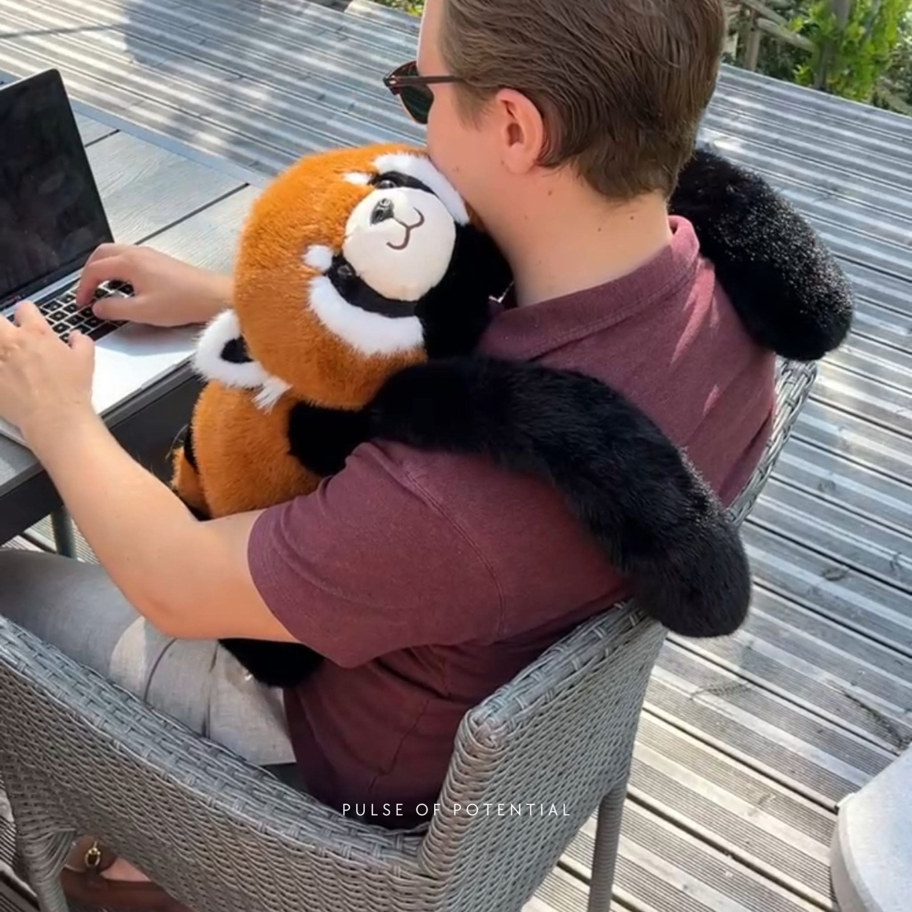 Remie the Red Panda Weighted Animal