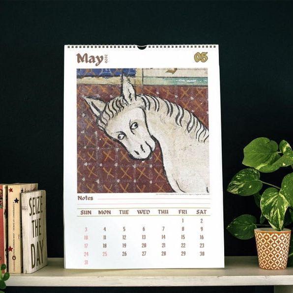 ​​Ugly Medieval Animals 2026 Wall Calendar