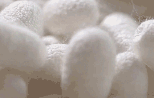 9-ff1d6705e0fc3fc0980afbac60cf7790.gif