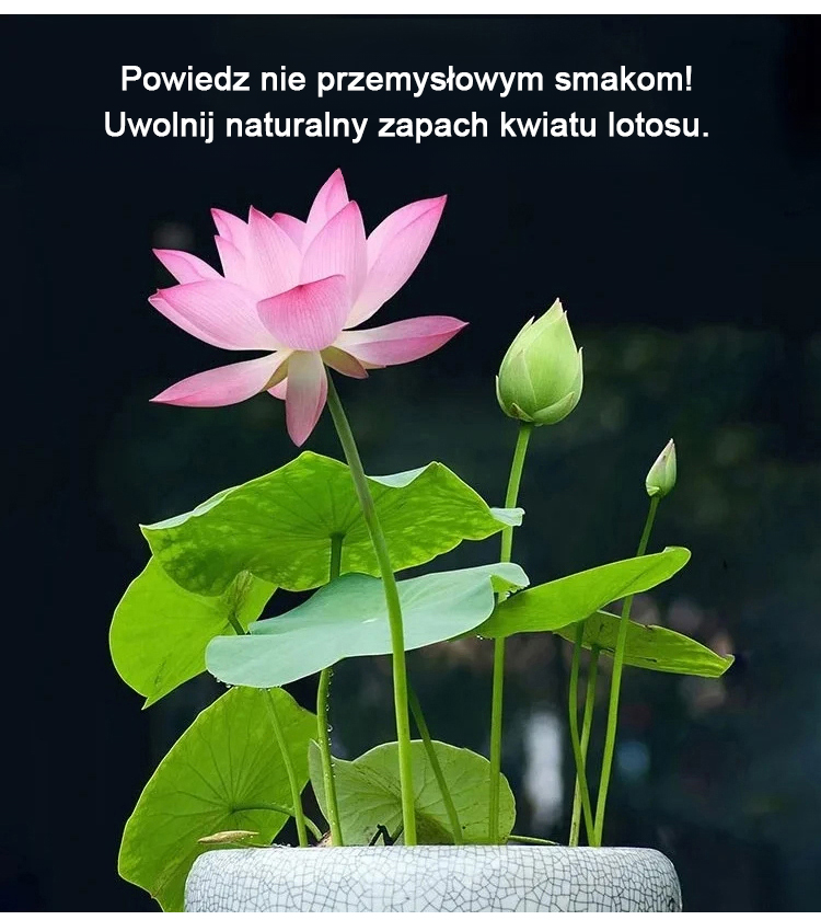 1_09.jpg