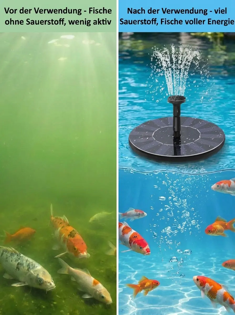 0 € Stromkosten: Vollautomatisches Wasserspiel ohne lästige Kabelverlegung ☀️💧92% Ihrer Nachbarn nutzen es bereits: 2er-Set für nur 52 € sichern 📉✅