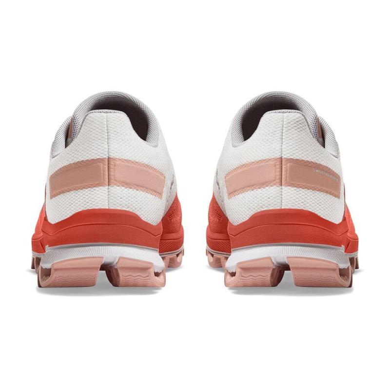 surfer 3.0 Rust Rose