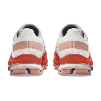 surfer 3.0 Rust Rose