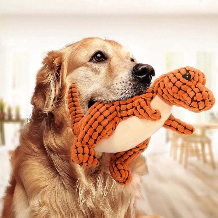🔥 BIG SALE - 48% OFF🔥🔥 🌹Indestructible Robust Dino--For Aggressive
