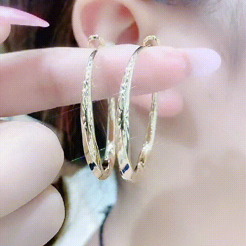 S925 Fashion Classic Circle Earrings