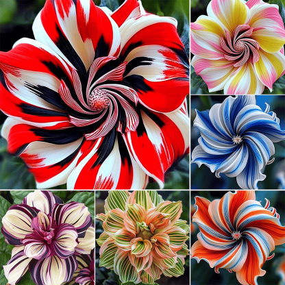 🌺2026 Rare Double Hibiscus Seeds | Massive Ruffled Blooms