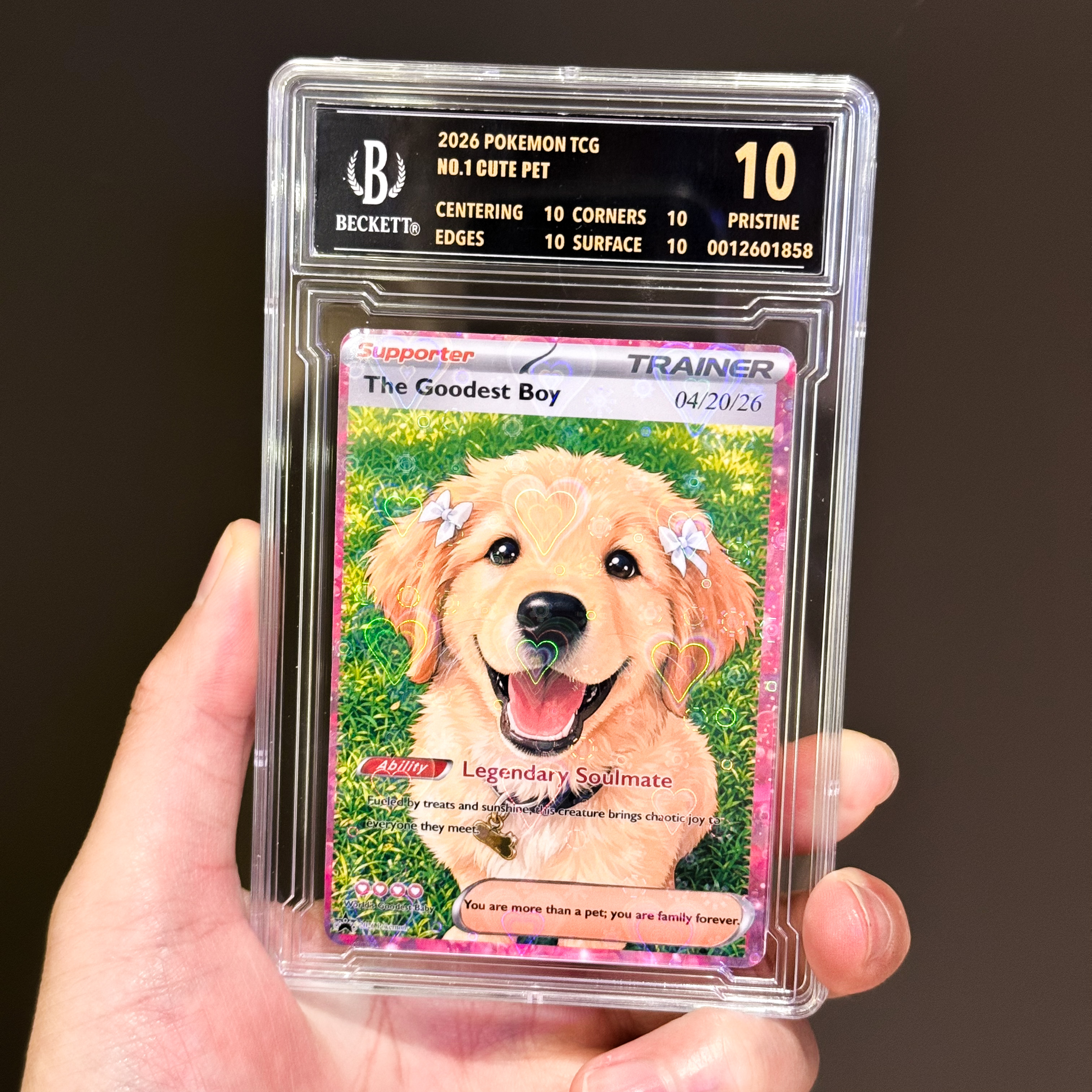Turn Your Furry Soulmate Into a TRAINER Card - Custom Anime Pet Portrait Gift | Personalized TCG "Best Friend" Keepsake