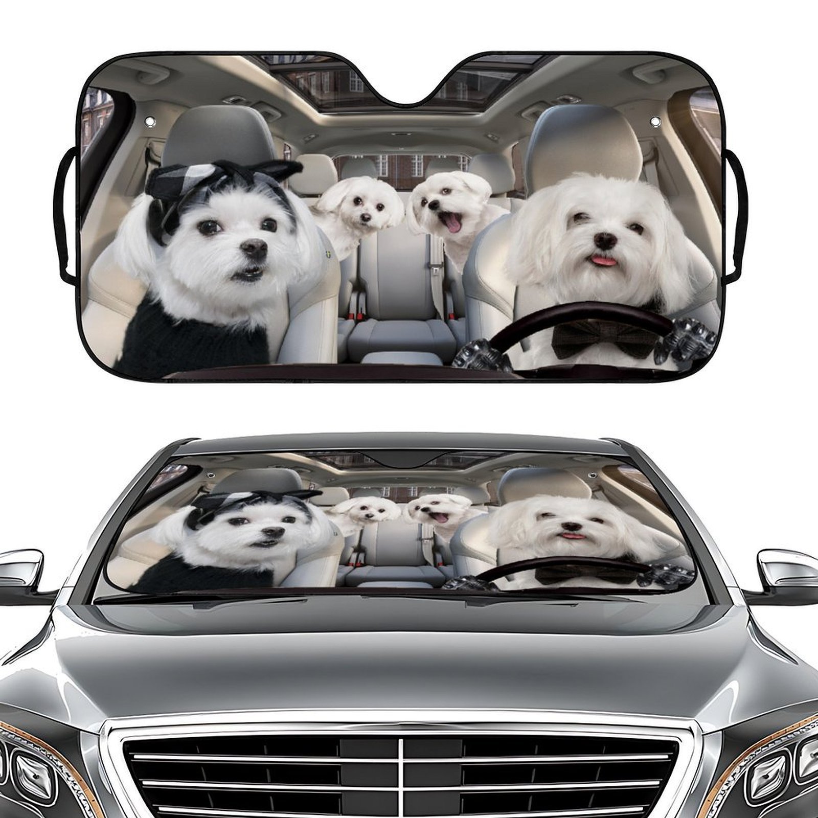 Make Your Car Speak! Funny Custom Windshield Sun Shade - The Ultimate Prank Gift