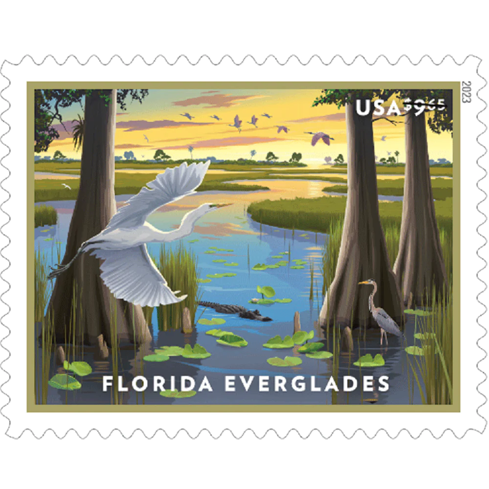 US 2023 Florida Everglades "Priority Mail"