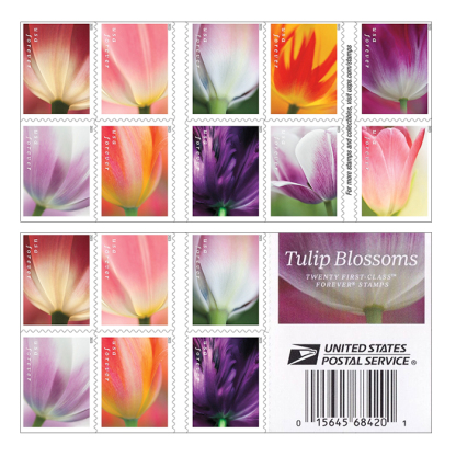 Tulip Blossoms Forever Stamp