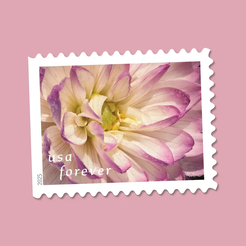 2025 First-Class Dahlias Forever Stamps 