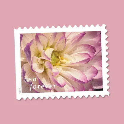 2025 First-Class Dahlias Forever Stamps 