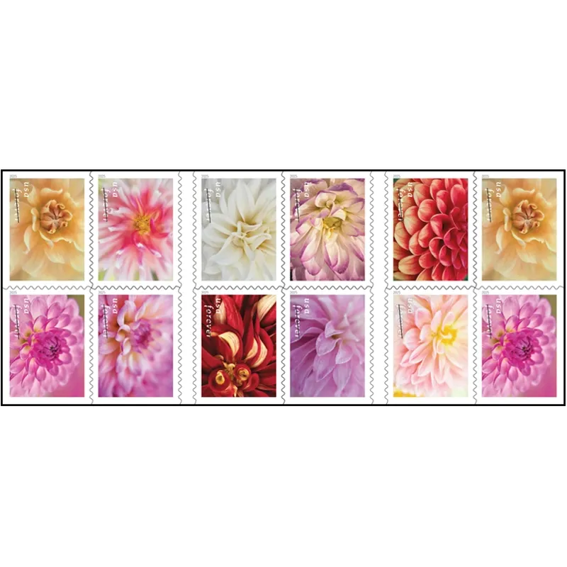 2025 First-Class Dahlias Forever Stamps 