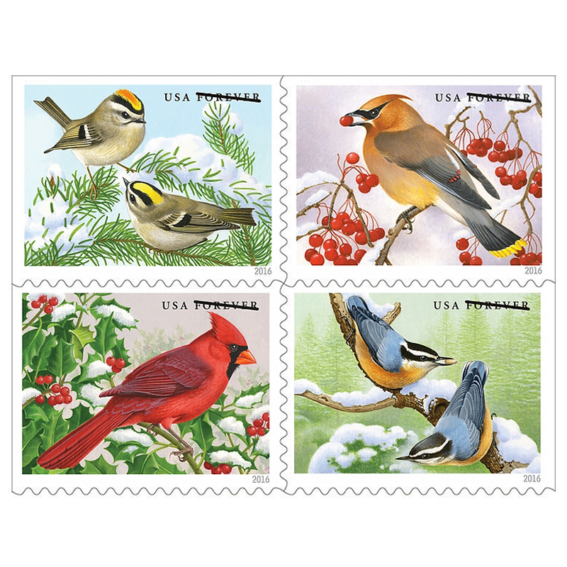 100PCS-Songbirds in Snow 2016