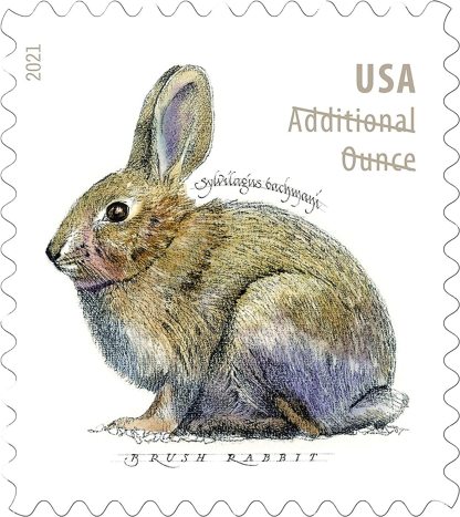 2021 Brush Rabbit Stamps