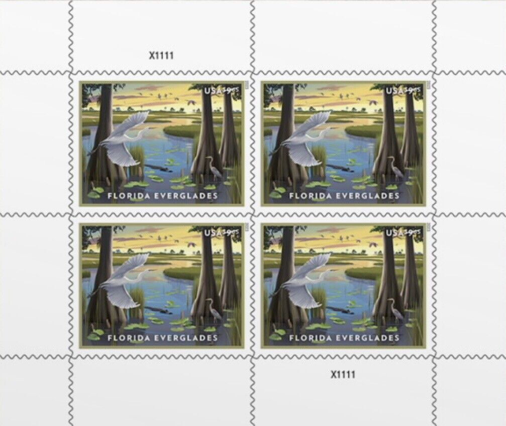 US 2023 Florida Everglades "Priority Mail"