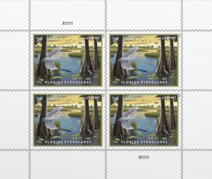 US 2023 Florida Everglades "Priority Mail"