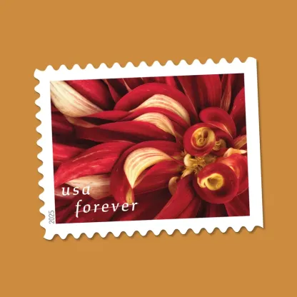 2025 First-Class Dahlias Forever Stamps 