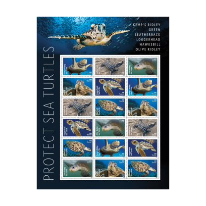 Protect Sea Turtles Stamps of 2024