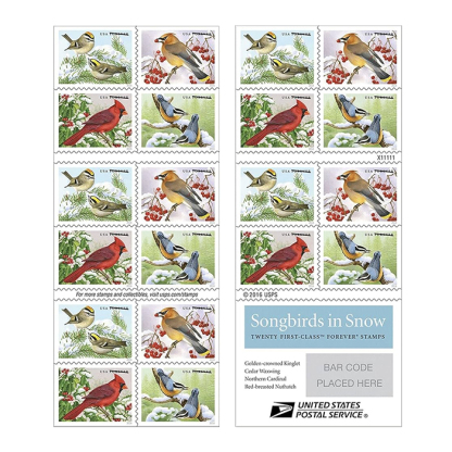 100PCS-Songbirds in Snow 2016